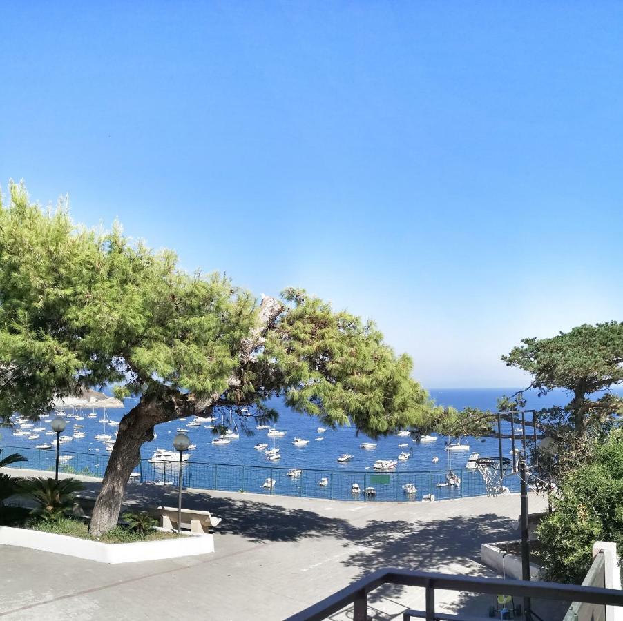 Calise Guest House Procida Ngoại thất bức ảnh