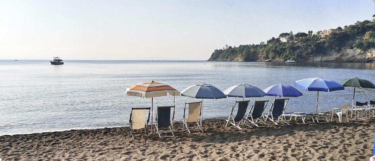Calise Guest House Procida Ngoại thất bức ảnh